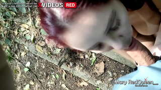 EK OPGETEL HET&#039;N NUWE EEN IN DIE VLAKTES EN GEBORSVOED HOM