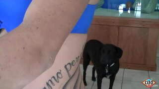 ���ບບຂາຂອງຕົນ Cleo ມັກຈະໃຫ້ເປັນເຄື່ອງມືໃນເວລາເປັນໃຫຍ່ແລ່ນຕ້ອງການທີ່ຈະປ່ອຍວາມກົດດັນ,ເຖິງແມ່ນວ່າຫຼາຍຖ້າຫາກວ່ານາງສາມາດໄດ້ຮັບການອົບອຸ່ນທີ່ມີທັງຫມໄລຍະຂອງນາງເລ່! ດັ່ງນັ້ນງາມ! ວິດີໂອເຕັມ&amp;amp;ທັງຫມົCleo@ItsCleoLive.com!